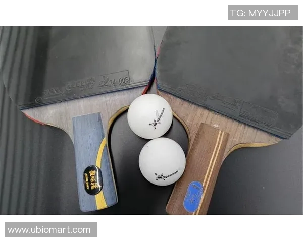 从零起步掌握排球技巧与力量训练的全面指南