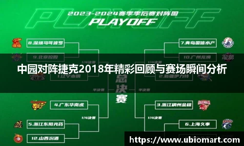 中园对阵捷克2018年精彩回顾与赛场瞬间分析