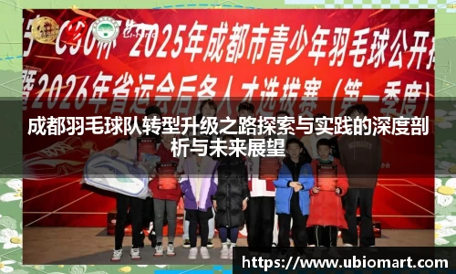 成都羽毛球队转型升级之路探索与实践的深度剖析与未来展望